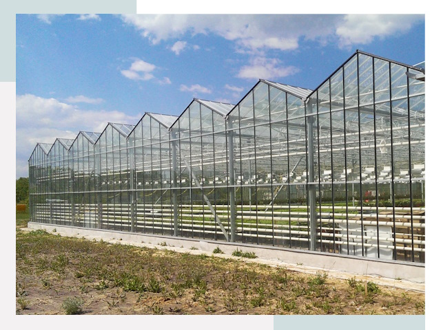 Строительство теплиц в Ставрополь от 623 руб. за м²